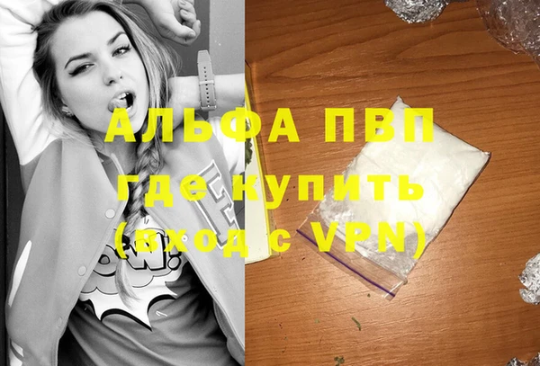 шишки Ладушкин