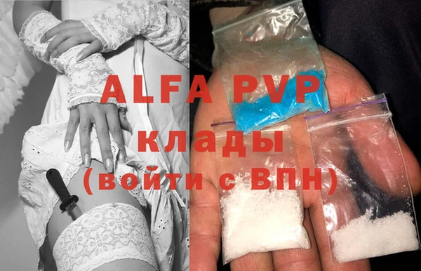 крисы Баксан