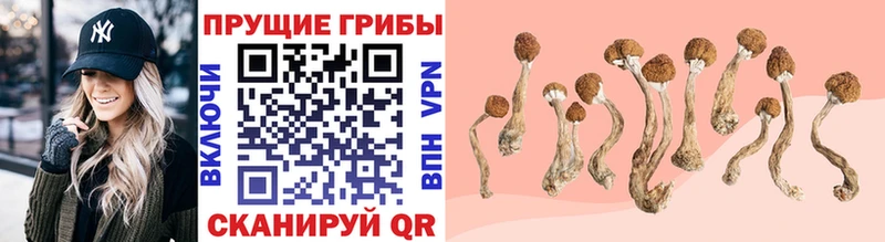Галлюциногенные грибы Magic Shrooms  кракен ТОР  Белогорск 
